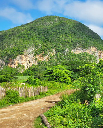 El valle del Palmarito