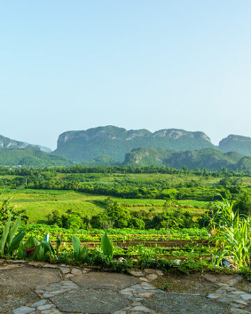 El valle del Silencio 